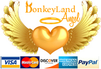 donkeylandangelsponsor